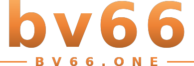 bv66 logo